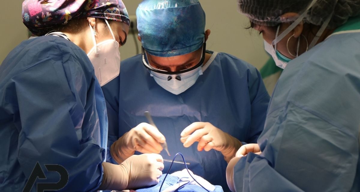 Malatya Çene Cerrahisi Hizmetleri DentAP Grup’ta: Uzman Doktorlar ve Güvenli Ameliyatlar